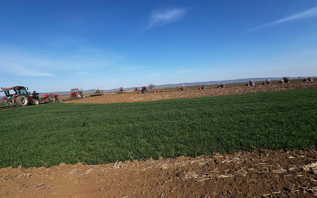 Уређење атарских путева у Ривици