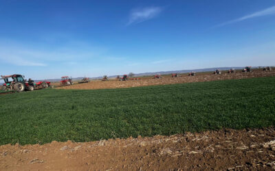 Уређење атарских путева у Ривици